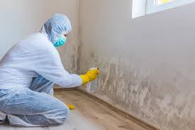 Professional Mold Remediation in North Plymouth, MA